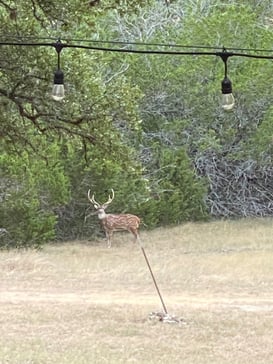 Wildlife Ranch photo 2